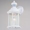 Vaxcel Auburn Aluminum 6.25-in. W 1 Light White Motion Sensor Dusk/Dawn Outdoor Wall Lantern Clear Glass T0730 - alternate 5